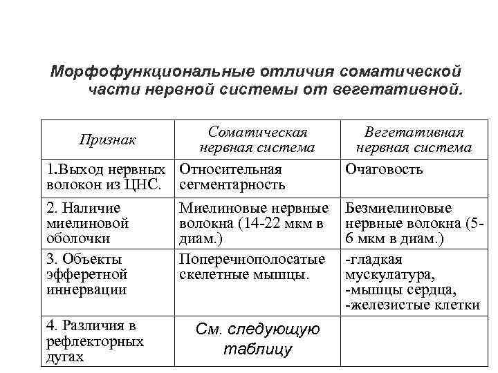 Морфофункциональные отличия соматической части нервной системы от вегетативной. Соматическая нервная система 1. Выход нервных