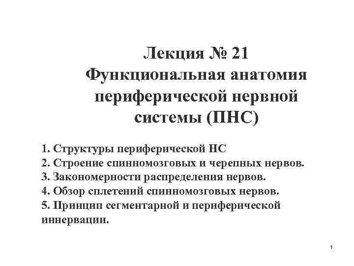 Лекция № 21 Функциональная анатомия периферической нервной системы (ПНС) 1. Структуры периферической НС 2.