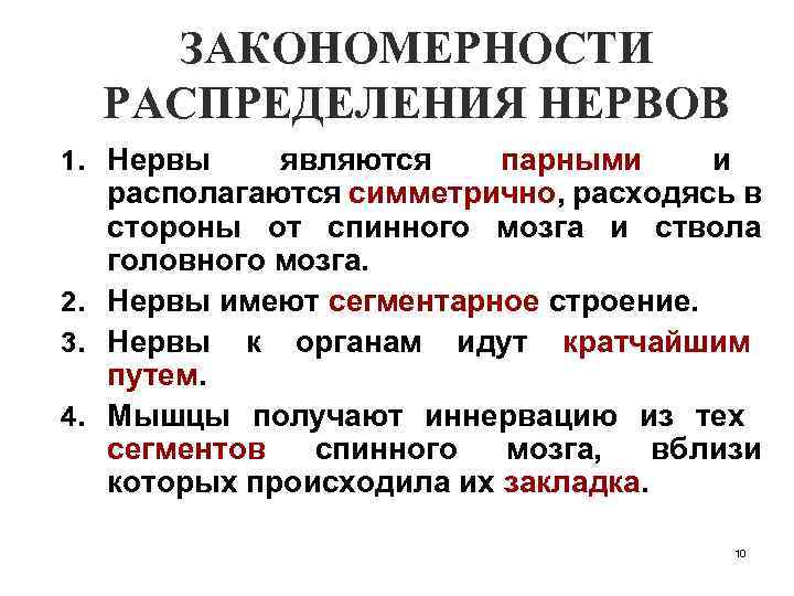 ЗАКОНОМЕРНОСТИ РАСПРЕДЕЛЕНИЯ НЕРВОВ 1. Нервы являются парными и располагаются симметрично, расходясь в стороны от