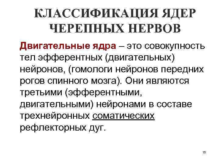 КЛАССИФИКАЦИЯ ЯДЕР ЧЕРЕПНЫХ НЕРВОВ Двигательные ядра – это совокупность тел эфферентных (двигательных) нейронов, (гомологи