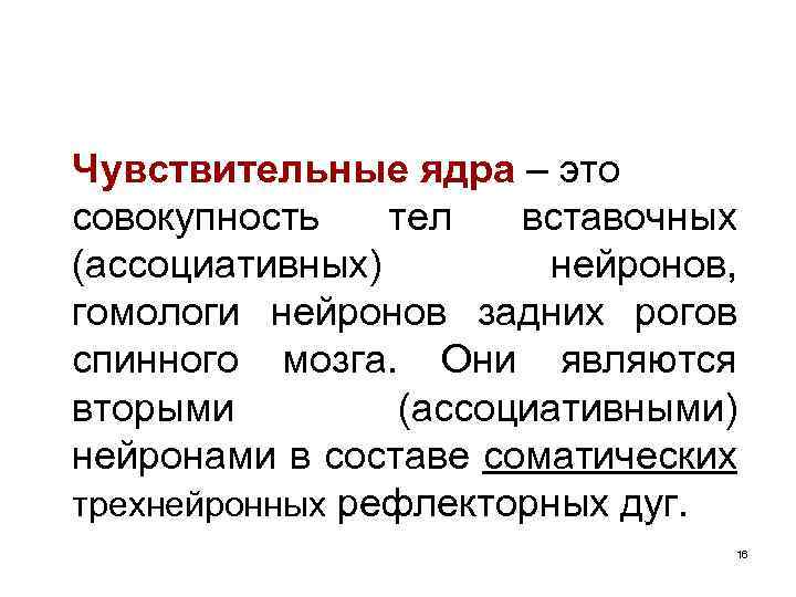 Чувствительные ядра – это совокупность тел вставочных (ассоциативных) нейронов, гомологи нейронов задних рогов спинного