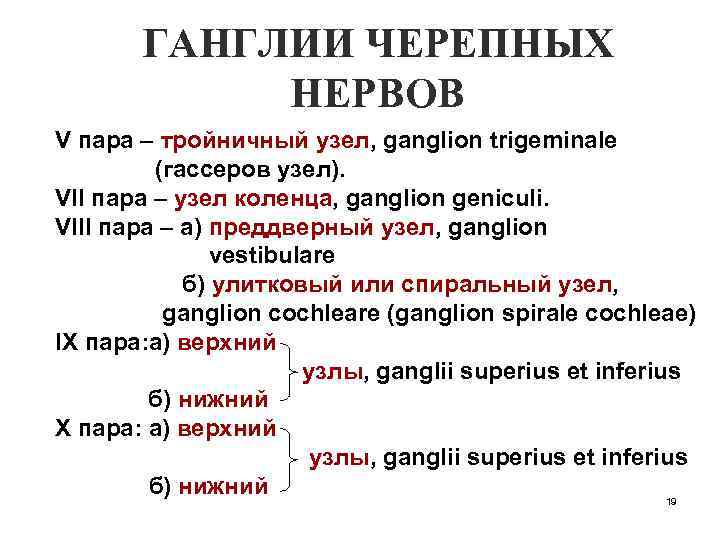 ГАНГЛИИ ЧЕРЕПНЫХ НЕРВОВ V пара – тройничный узел, ganglion trigeminale (гассеров узел). VII пара