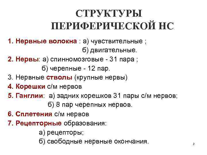 СТРУКТУРЫ ПЕРИФЕРИЧЕСКОЙ НС 1. Нервные волокна : а) чувствительные ; б) двигательные. 2. Нервы: