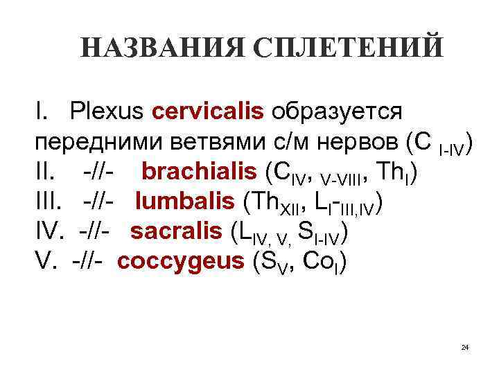 НАЗВАНИЯ СПЛЕТЕНИЙ I. Plexus cervicalis образуется передними ветвями с/м нервов (C I-IV) II. -//-