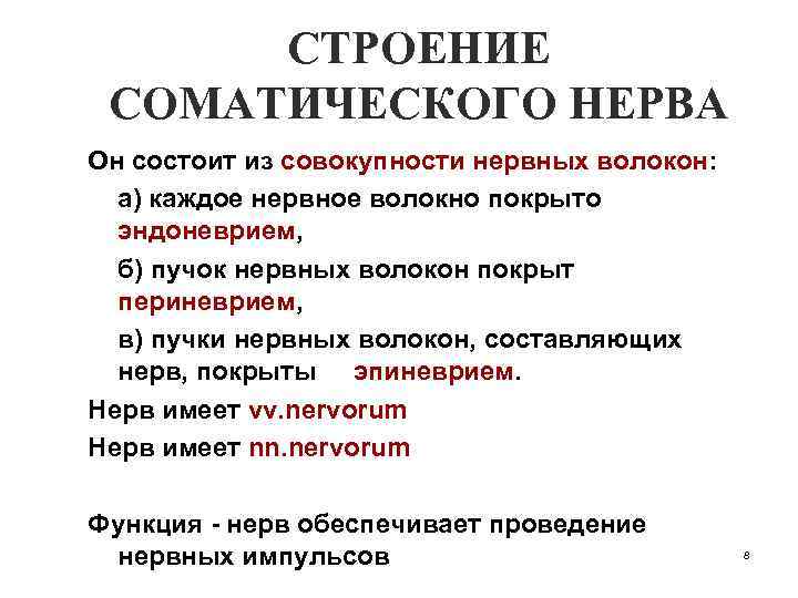 СТРОЕНИЕ СОМАТИЧЕСКОГО НЕРВА Он состоит из совокупности нервных волокон: а) каждое нервное волокно покрыто