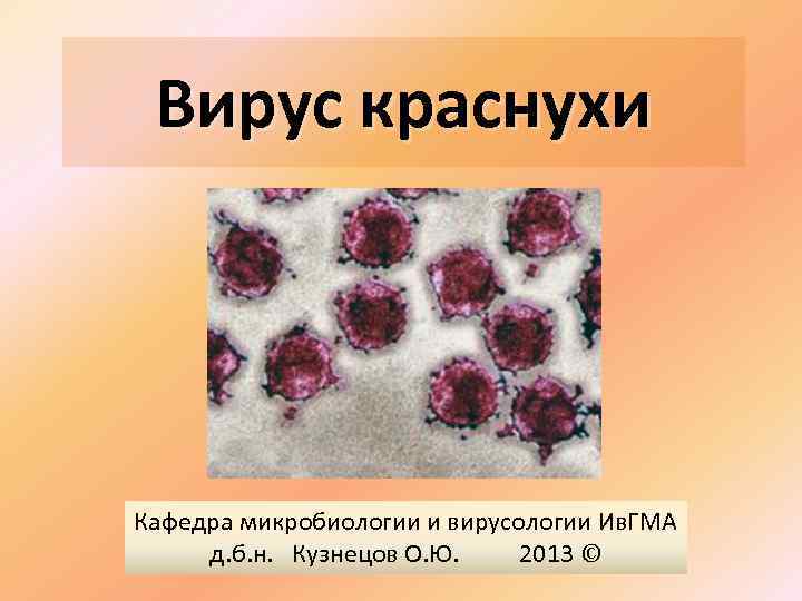 Вирус краснухи Кафедра микробиологии и вирусологии Ив. ГМА д. б. н. Кузнецов О. Ю.