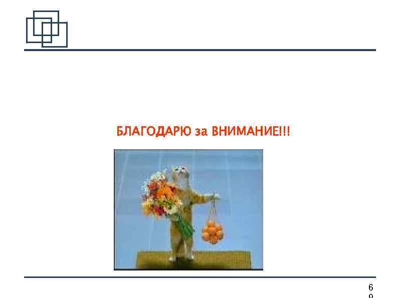 БЛАГОДАРЮ за ВНИМАНИЕ!!! 6 