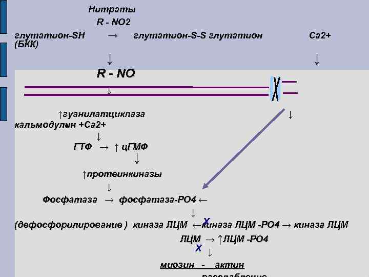 Нитраты R - NO 2 глутатион-SH → глутатион-S-S глутатион (БКК) Са 2+ ↓ R