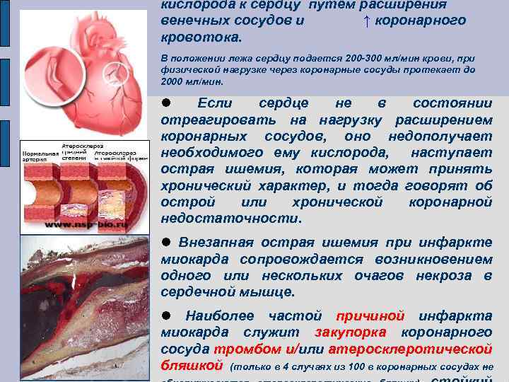 кислорода к сердцу путем расширения венечных сосудов и ↑ коронарного кровотока. В положении лежа