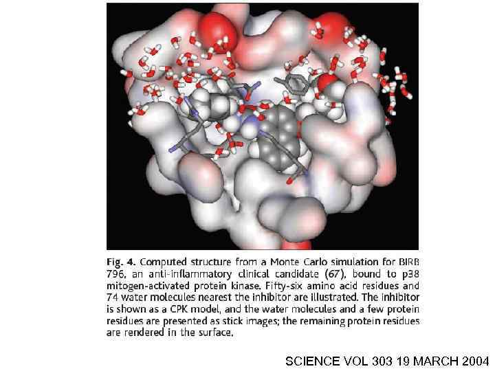 SCIENCE VOL 303 19 MARCH 2004 