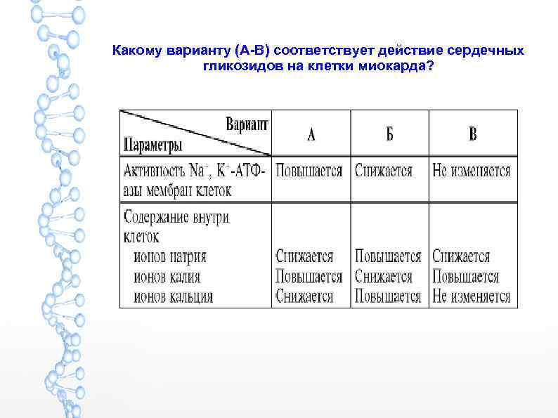 Какому варианту (А-В) соответствует действие сердечных гликозидов на клетки миокарда? 