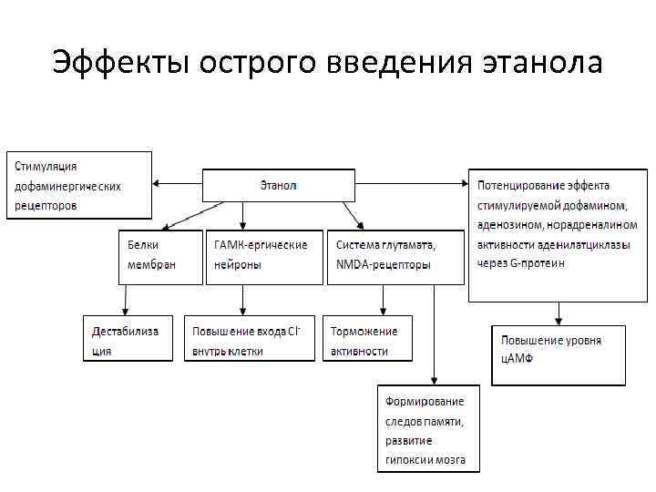 Эффекты острого введения этанола 