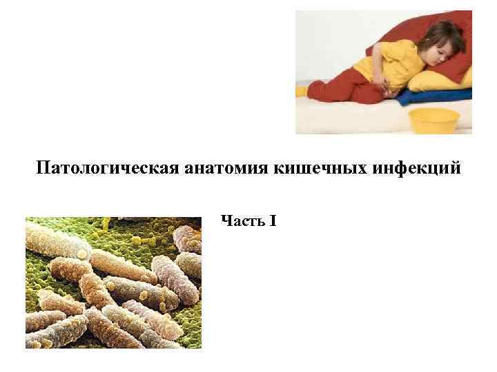 Патологическая анатомия кишечных инфекций Часть I 