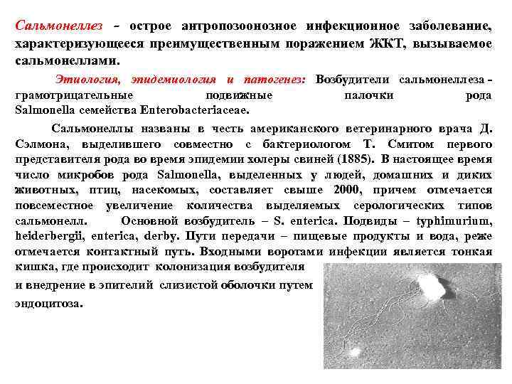 Сальмонеллез - острое антропозоонозное инфекционное заболевание, характеризующееся преимущественным поражением ЖКТ, вызываемое сальмонеллами. Этиология, эпидемиология