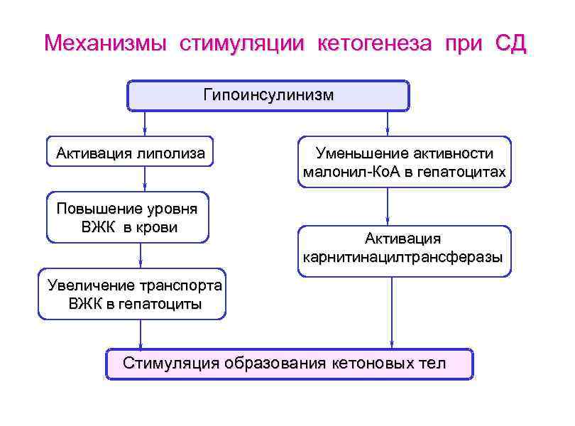 Механизмы стимуляции кетогенеза при СД Гипоинсулинизм Активация липолиза Повышение уровня ВЖК в крови Уменьшение