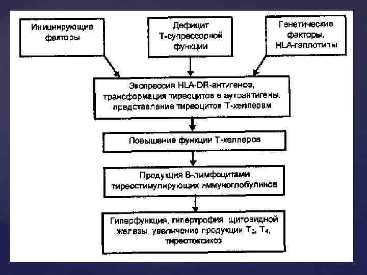 Сенсибилизированные 