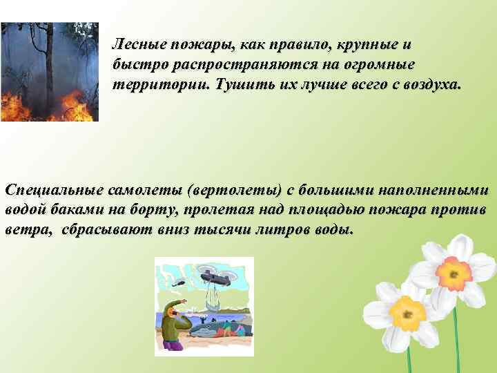 Лесные пожары, как правило, крупные и быстро распространяются на огромные территории. Тушить их лучше