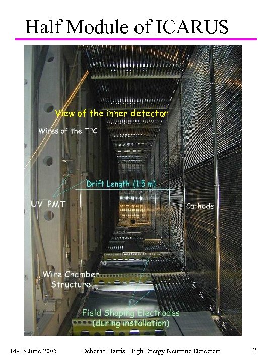 Half Module of ICARUS View of the inner detector 14 -15 June 2005 Deborah