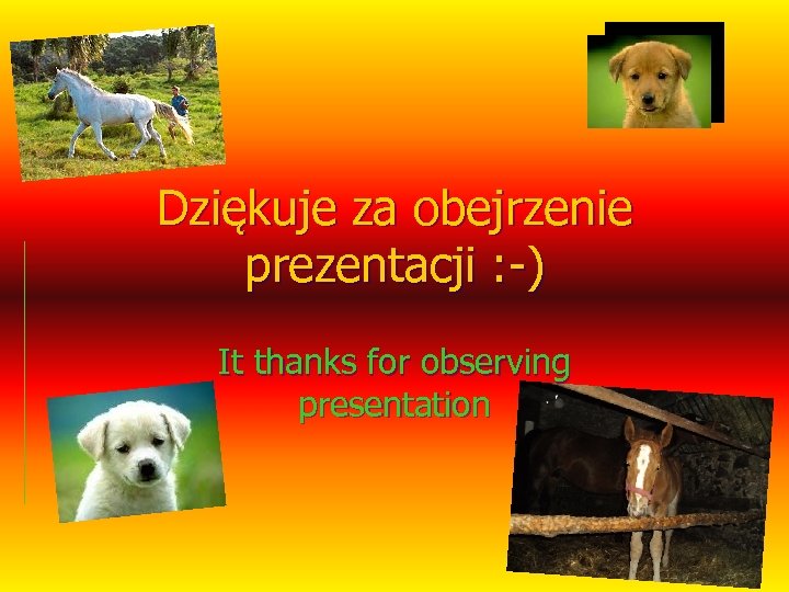 Dziękuje za obejrzenie prezentacji : -) It thanks for observing presentation 
