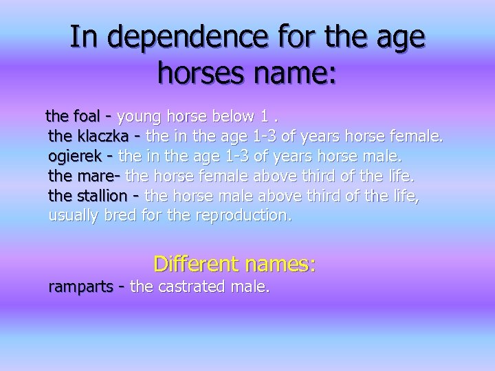 In dependence for the age horses name: the foal - young horse below 1.