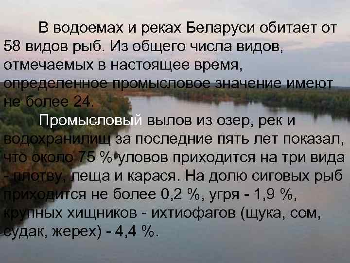 В водоемах и реках Беларуси обитает от 58 видов рыб. Из общего числа видов,