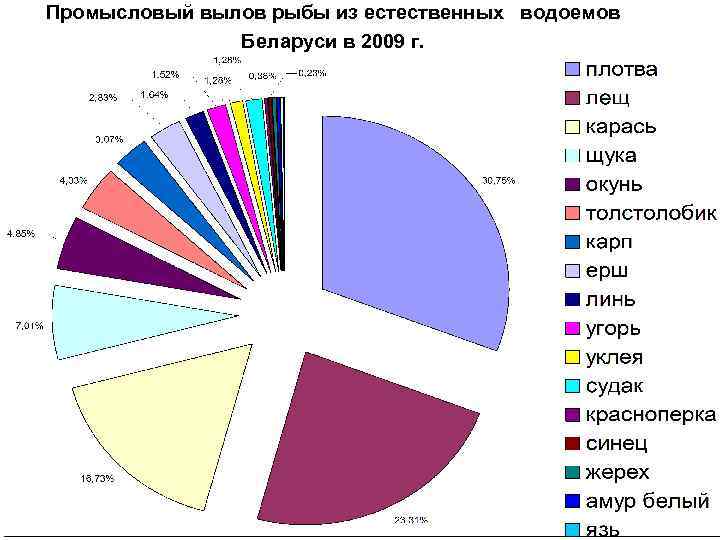  Промысловый вылов рыбы из естественных водоемов Беларуси в 2009 г. 