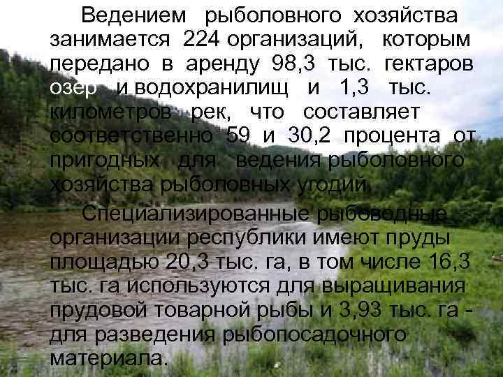 Ведением рыболовного хозяйства занимается 224 организаций, которым передано в аренду 98, 3 тыс. гектаров