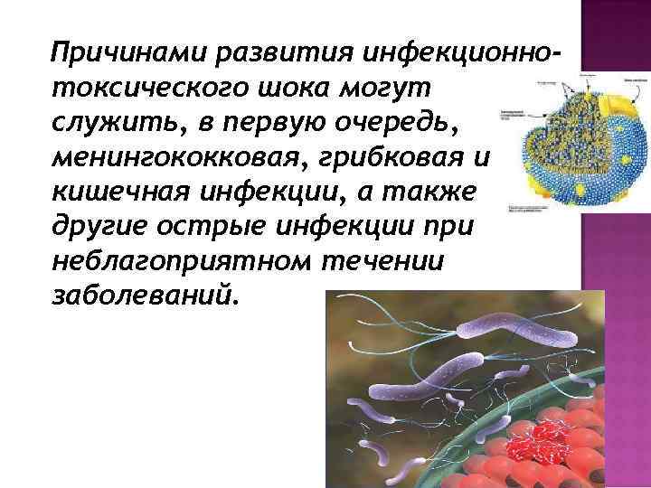 Причинами развития инфекционнотоксического шока могут служить, в первую очередь, менингококковая, грибковая и кишечная инфекции,