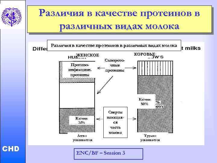 Различия в качестве протеинов в различных видах молока ЖЕНСКОЕ Противоинфекционные протеины КОРОВЬЕ Сывороточные протеины