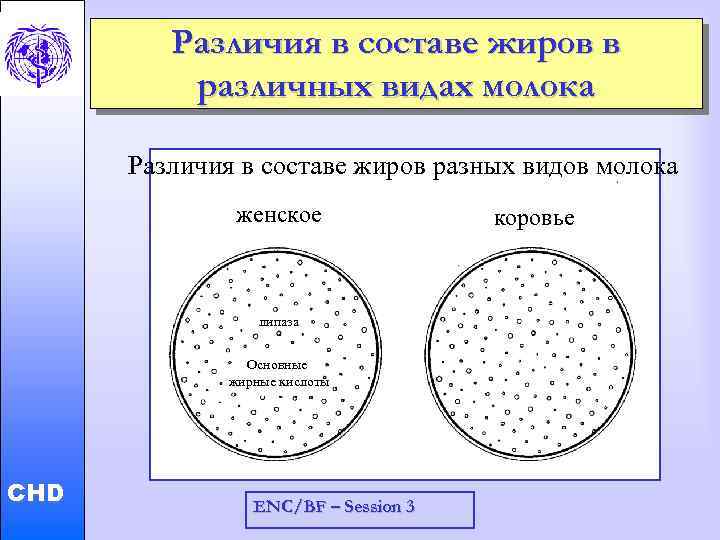 Различия в составе жиров в различных видах молока Различия в составе жиров разных видов