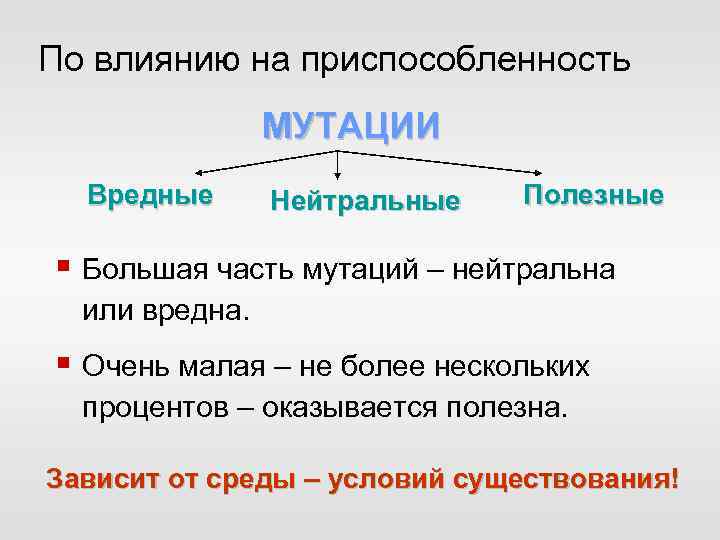 По влиянию на приспособленность МУТАЦИИ Вредные Нейтральные Полезные § Большая часть мутаций – нейтральна