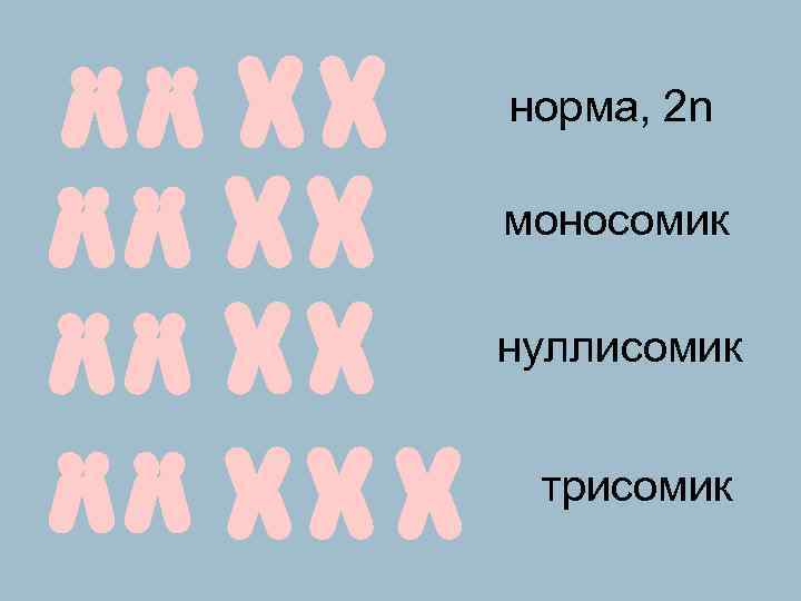 норма, 2 n моносомик нуллисомик трисомик 