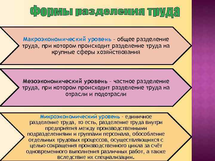 Макроэкономический уровень – общее разделение труда, при котором происходит разделение труда на крупные сферы