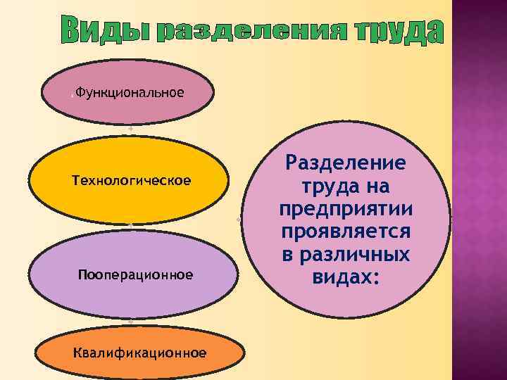 1. Функциональное Технологическое Пооперационное Квалификационное Разделение труда на предприятии проявляется в различных видах: 