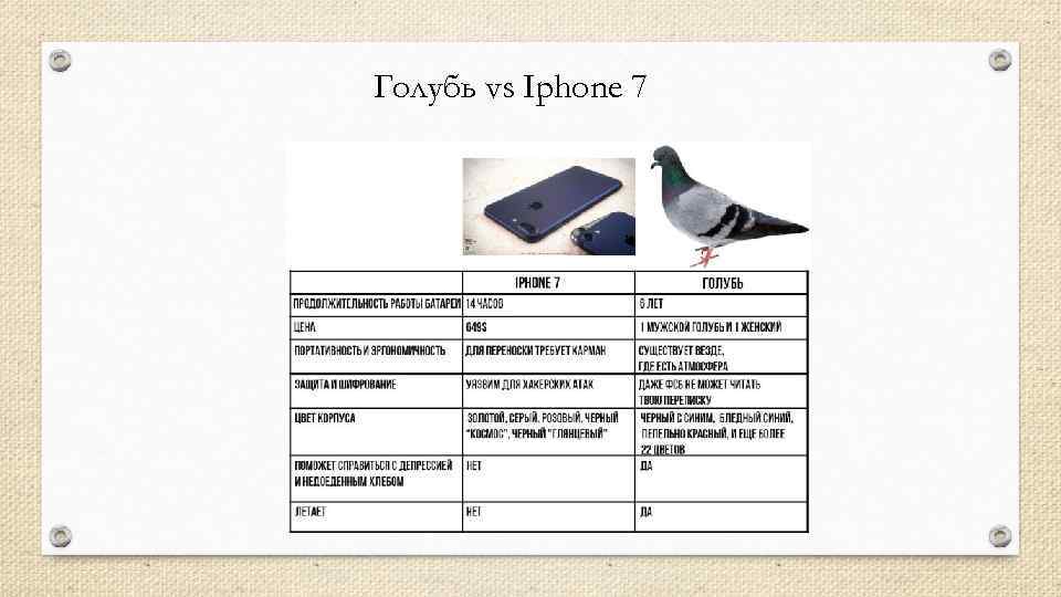 Голубь vs Iphone 7 