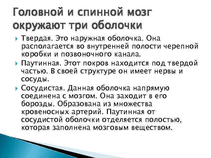 Головной и спинной мозг окружают три оболочки Твердая. Это наружная оболочка. Она располагается во