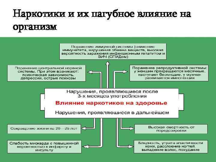 Наркотики и их пагубное влияние на организм 