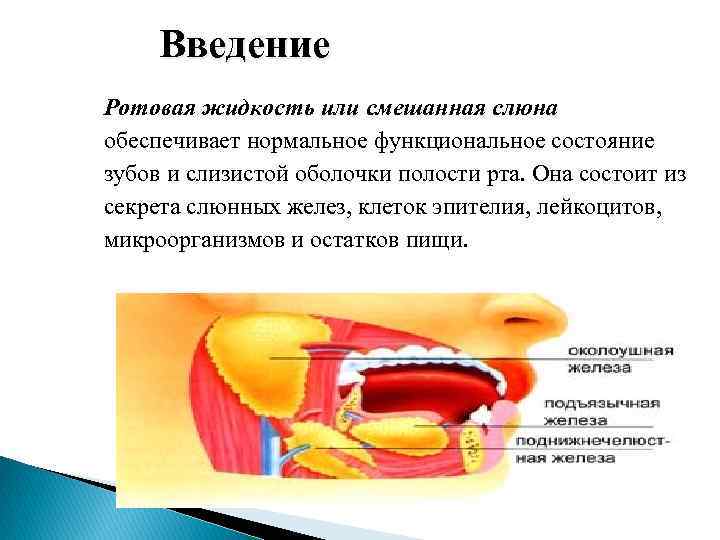 Смешанная слюна