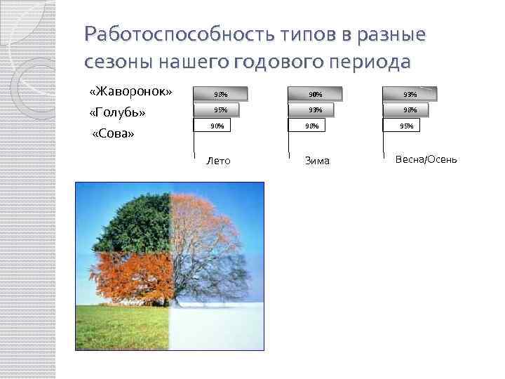 Работоспособность типов в разные сезоны нашего годового периода «Жаворонок» «Голубь» «Сова» 98% 90% 93%