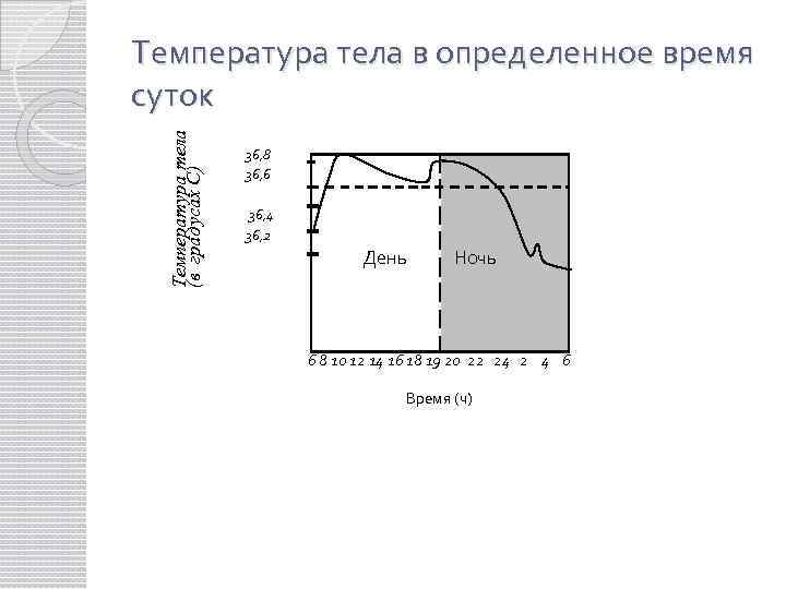 Температура тела (в градусах С) Температура тела в определенное время суток 36, 8 36,