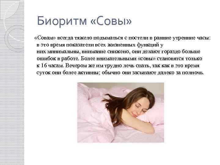 Биоритм «Совы» «Совам» всегда тяжело подыматься с постели в ранние утренние часы: в это
