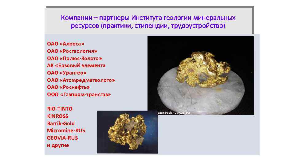 Компании – партнеры Института геологии минеральных ресурсов (практики, стипендии, трудоустройство) ОАО «Алроса» ОАО «Росгеология»