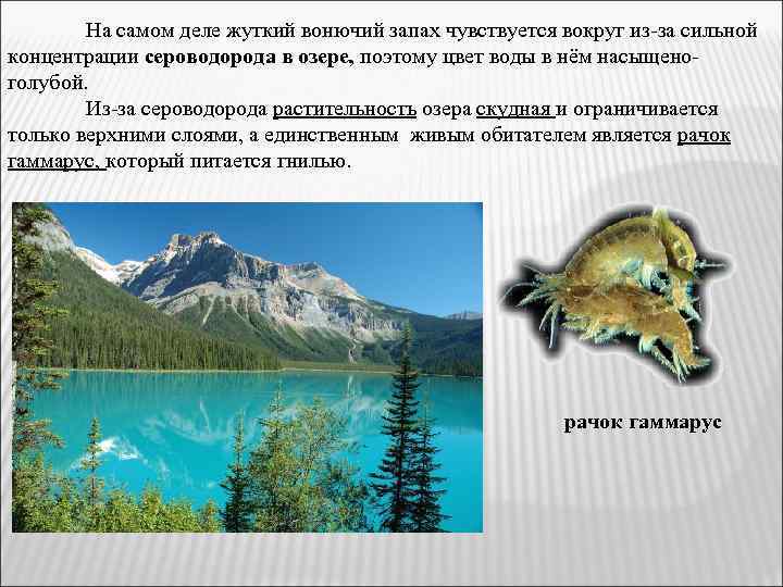 На самом деле жуткий вонючий запах чувствуется вокруг из-за сильной концентрации сероводорода в озере,