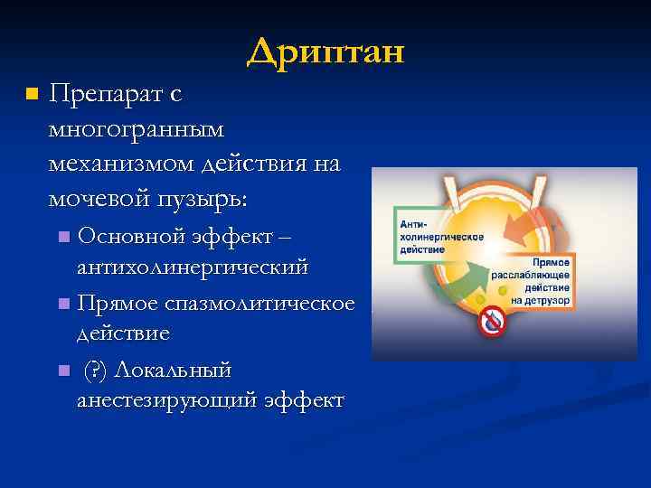 Дриптан n Препарат с многогранным механизмом действия на мочевой пузырь: Основной эффект – антихолинергический