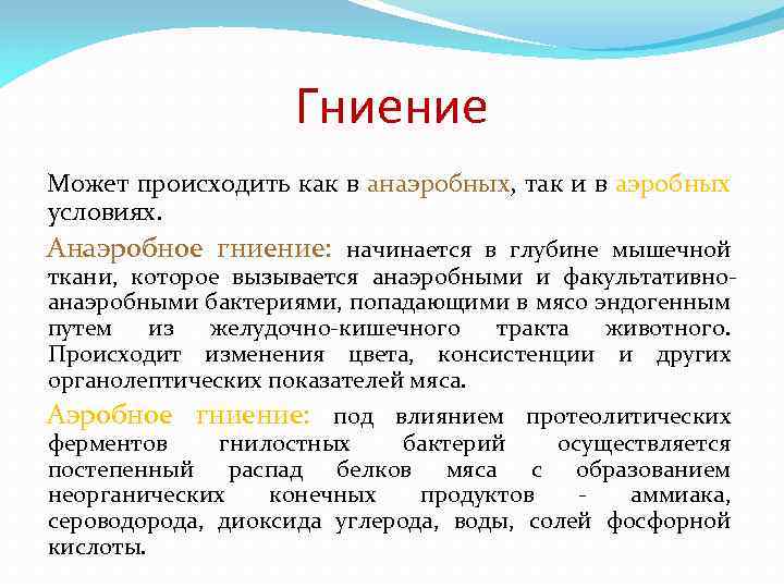 Гниение Может происходить как в анаэробных, так и в аэробных условиях. Анаэробное гниение: начинается