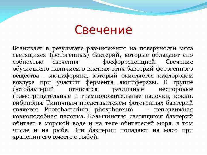 Свечение Возникает в результате размножения на поверхности мяса светящихся (фотогенных) бактерий, которые обладают спо