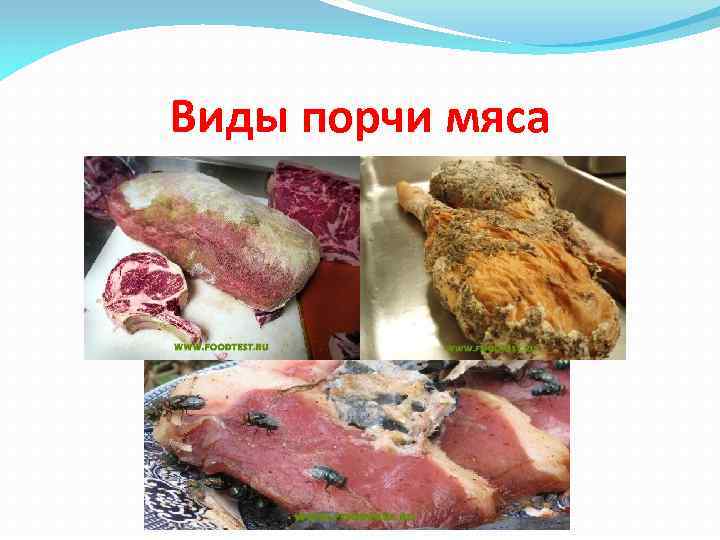 Виды порчи мяса 