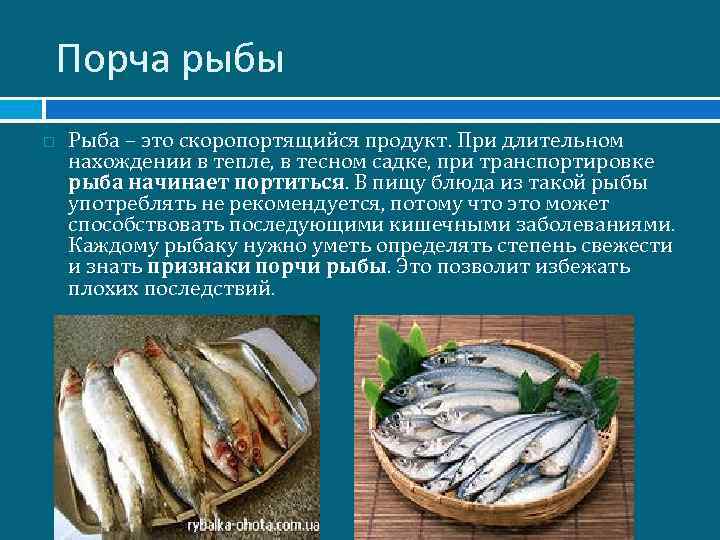 Вызывает порчу продуктов