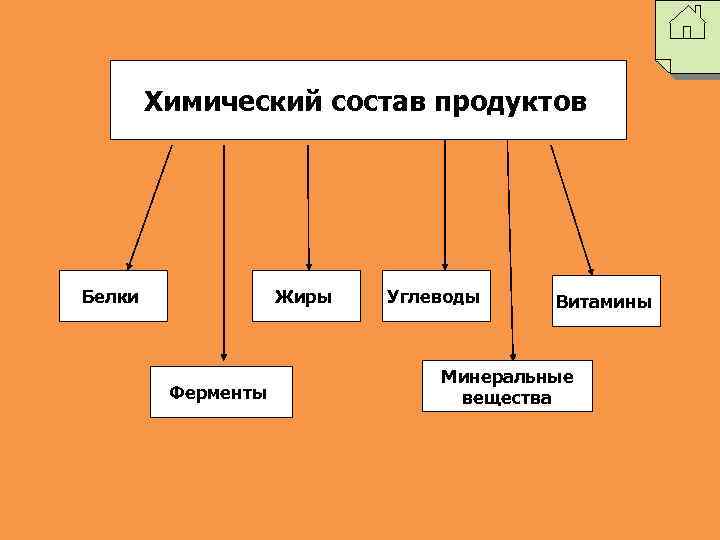 Химический состав продуктов Белки Жиры Ферменты Углеводы Витамины Минеральные вещества 