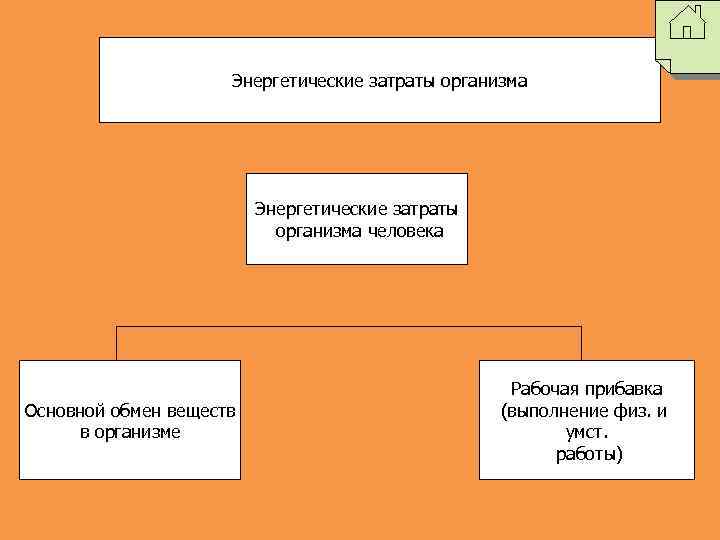 Энергетические затраты организма человека Основной обмен веществ в организме Рабочая прибавка (выполнение физ. и